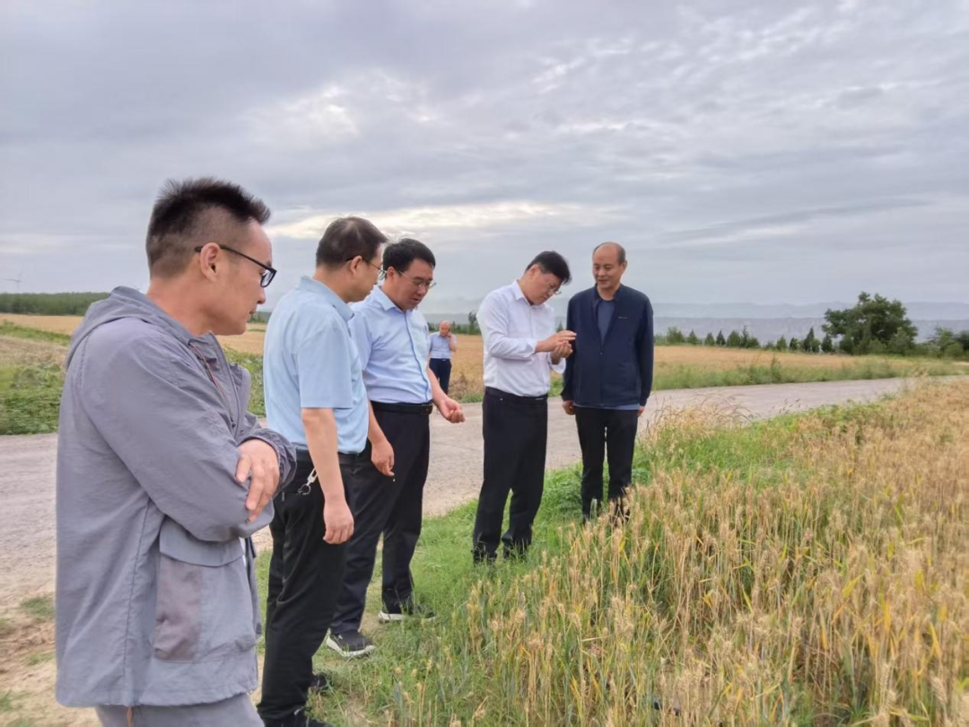 党工委书记吴刚调研督导“三夏” 生产及项目建设工作